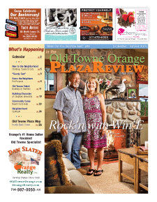 Old Towne Orange Plaza Review