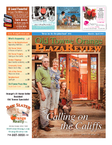 Old Towne Orange Plaza Review