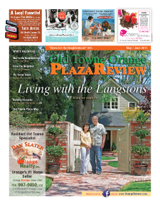 Old Towne Orange Plaza Review