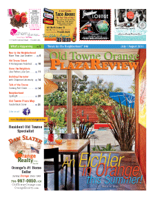 Old Towne Orange Plaza Review