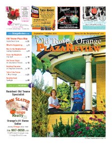 Old Towne Orange Plaza Review