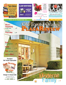 Old Towne Orange Plaza Review