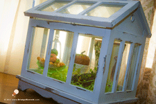 Cottage Tales: Trimming Your Table