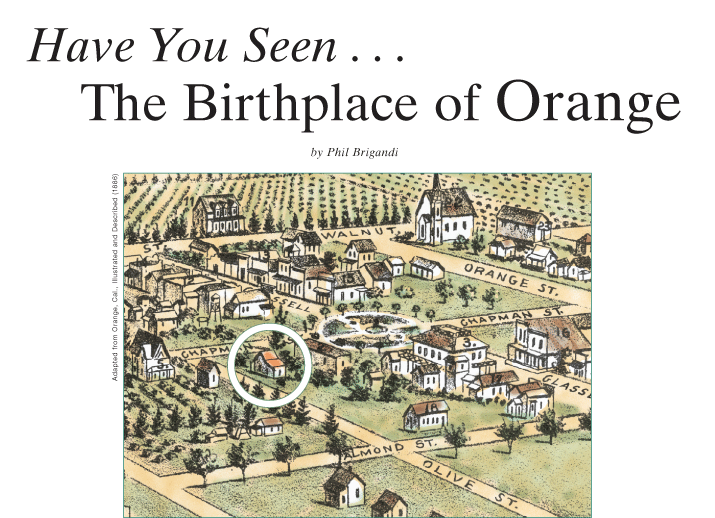 Have You Seen